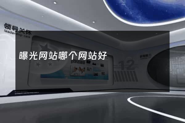 曝光网站哪个网站好