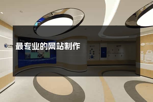 最专业的网站制作