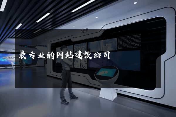 最专业的网站建设公司