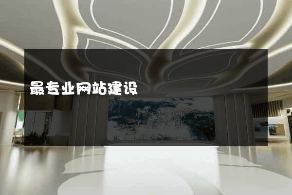 最专业网站建设