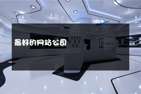最好的网站公司