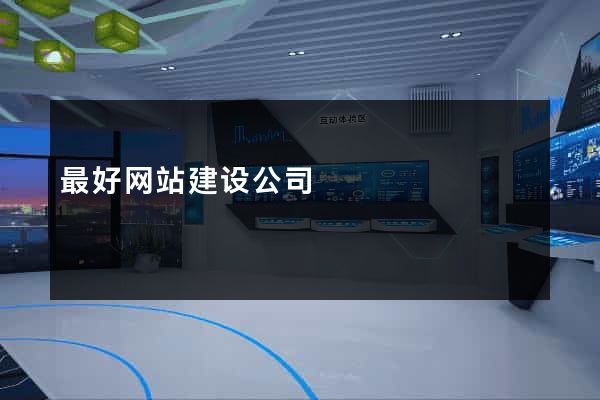 最好网站建设公司