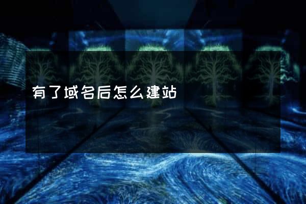 有了域名后怎么建站