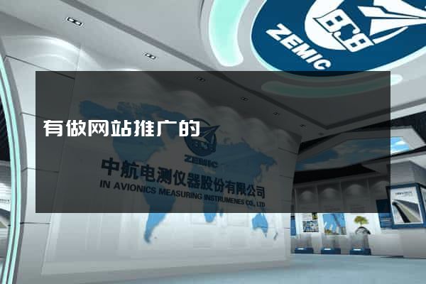 有做网站推广的