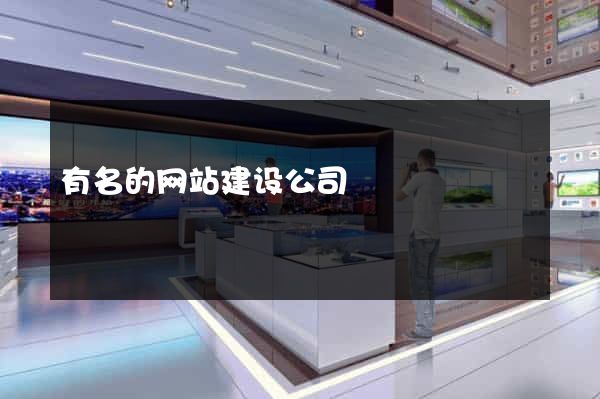 有名的网站建设公司