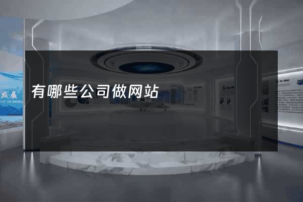 有哪些公司做网站