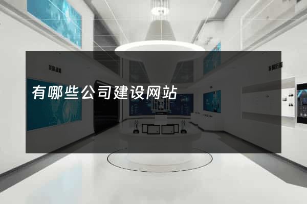 有哪些公司建设网站