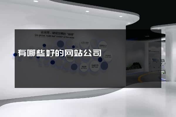 有哪些好的网站公司