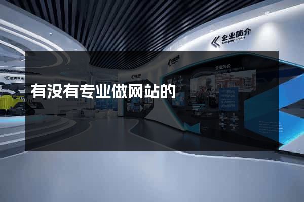 有没有专业做网站的