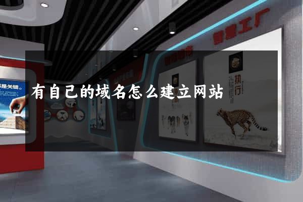 有自己的域名怎么建立网站