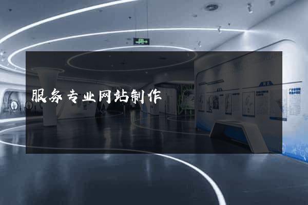 服务专业网站制作