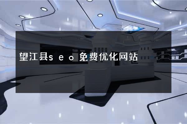 望江县seo免费优化网站