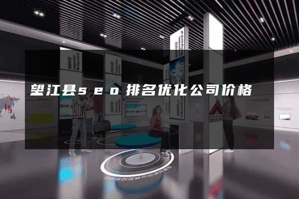 望江县seo排名优化公司价格