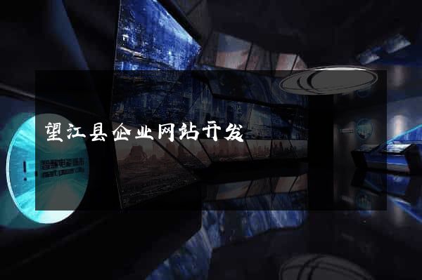 望江县企业网站开发