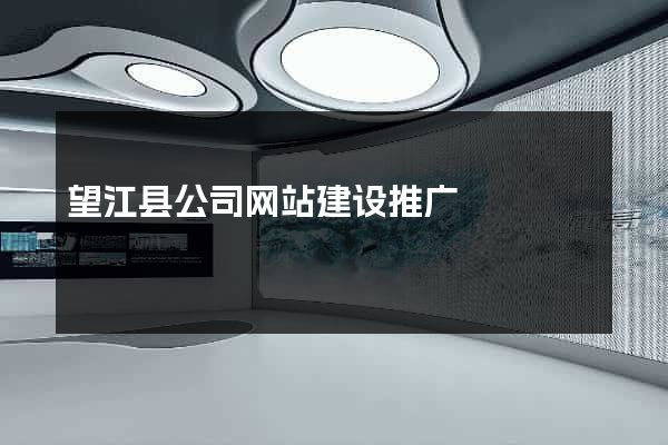 望江县公司网站建设推广