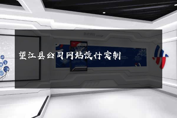 望江县公司网站设计定制
