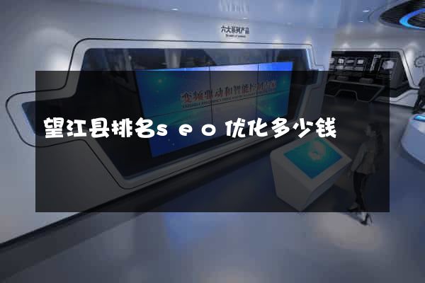 望江县排名seo优化多少钱