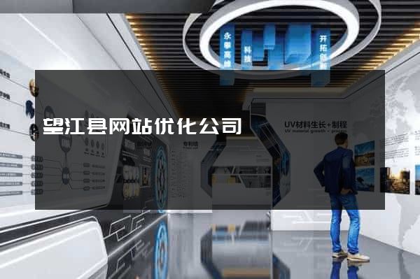望江县网站优化公司