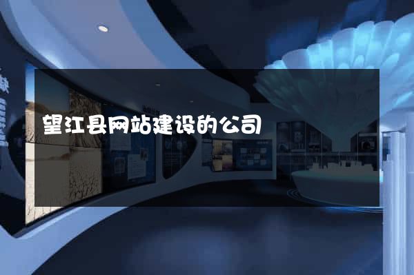 望江县网站建设的公司