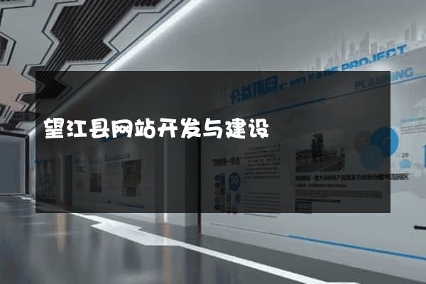 望江县网站开发与建设