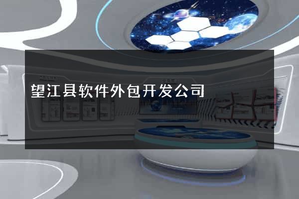 望江县软件外包开发公司