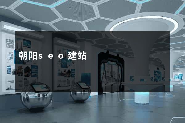 朝阳seo建站