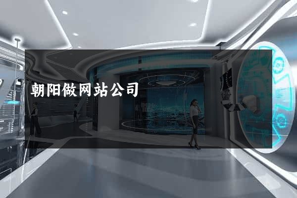 朝阳做网站公司