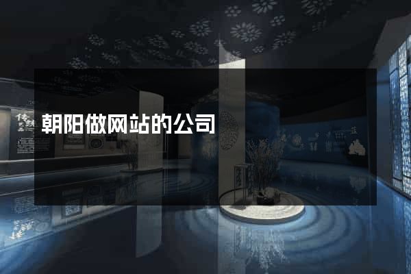 朝阳做网站的公司