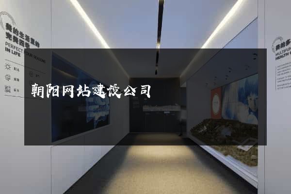 朝阳网站建设公司