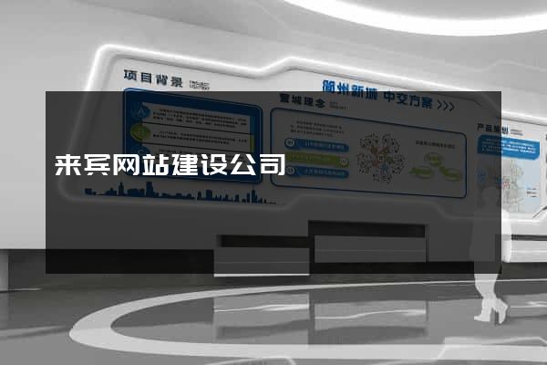 来宾网站建设公司