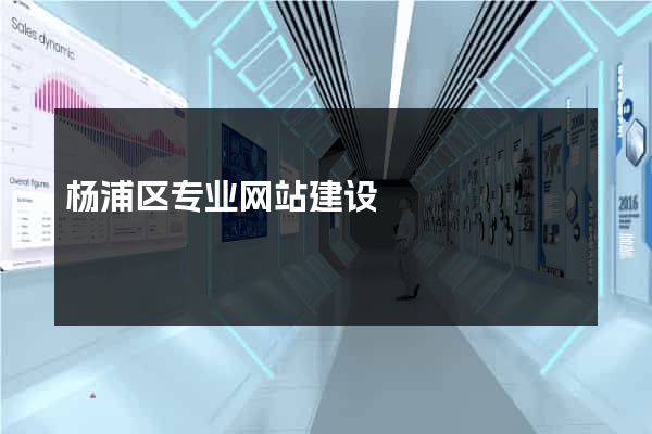 杨浦区专业网站建设