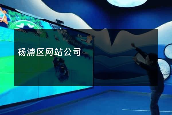 杨浦区网站公司