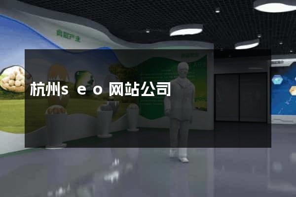 杭州seo网站公司
