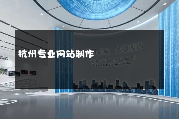 杭州专业网站制作