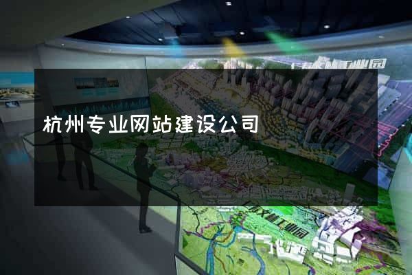 杭州专业网站建设公司