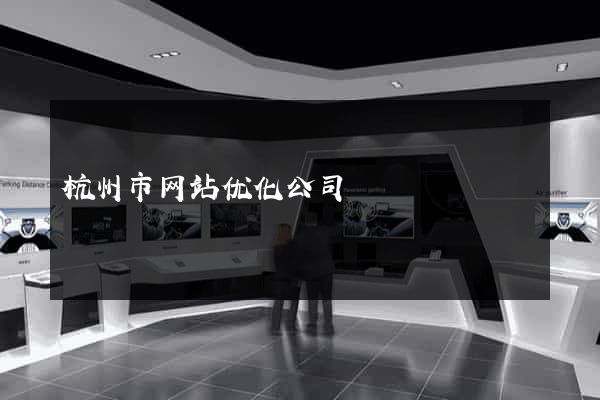 杭州市网站优化公司