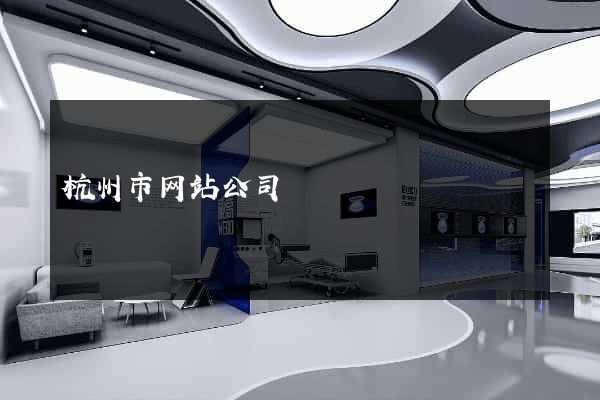 杭州市网站公司