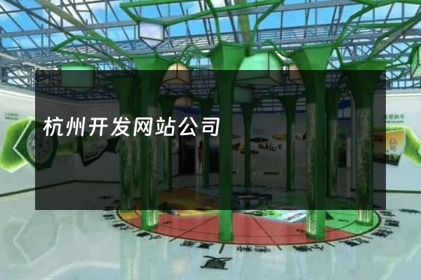 杭州开发网站公司