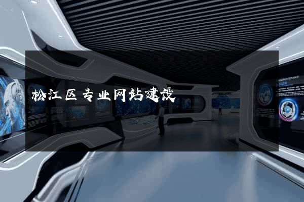 松江区专业网站建设