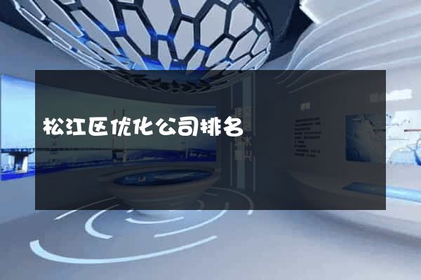 松江区优化公司排名