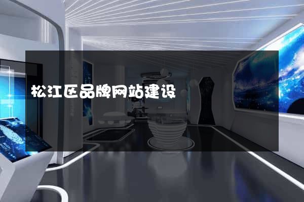 松江区品牌网站建设