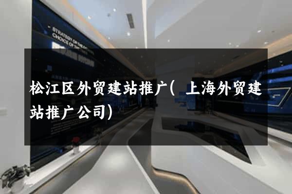 松江区外贸建站推广(上海外贸建站推广公司)