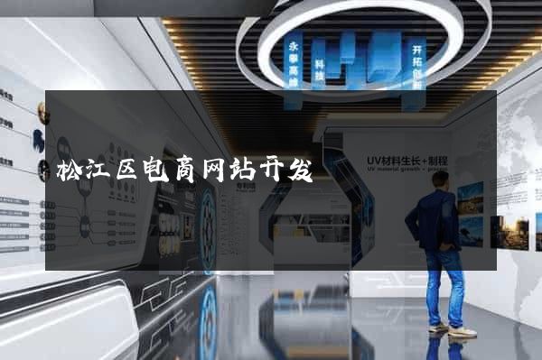 松江区电商网站开发