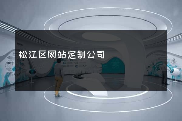 松江区网站定制公司