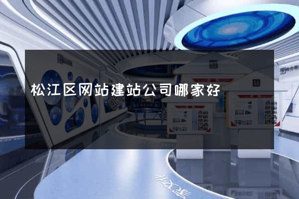 松江区网站建站公司哪家好
