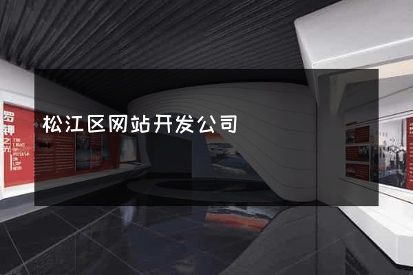 松江区网站开发公司