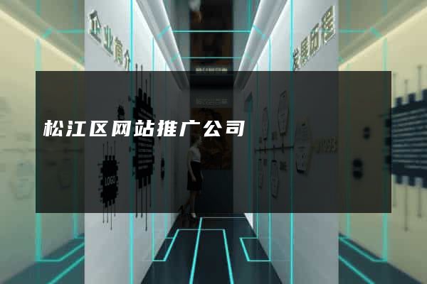 松江区网站推广公司