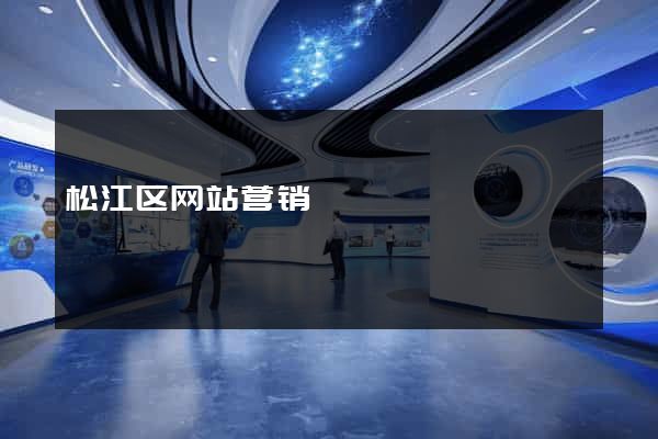 松江区网站营销