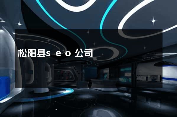 松阳县seo公司