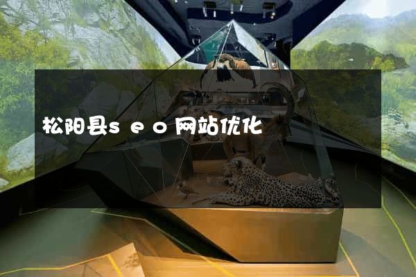 松阳县seo网站优化